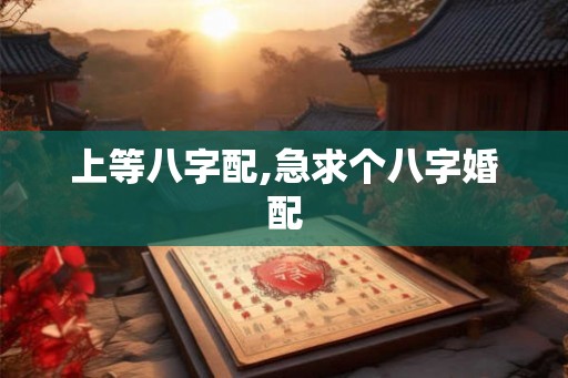 上等八字配,急求个八字婚配