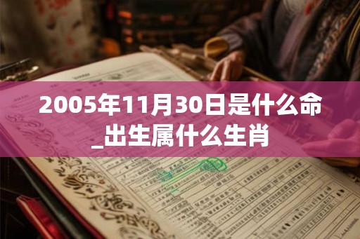 2005年11月30日是什么命_出生属什么生肖