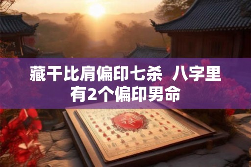 藏干比肩偏印七杀  八字里有2个偏印男命
