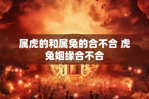 属虎的和属兔的合不合 虎兔姻缘合不合