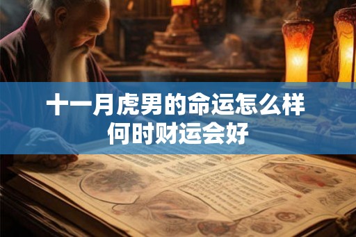 十一月虎男的命运怎么样 何时财运会好