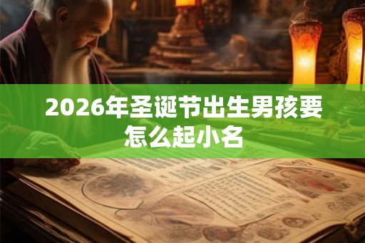 2026年圣诞节出生男孩要怎么起小名