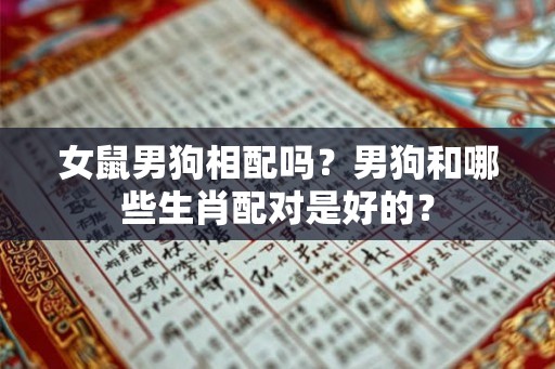 女鼠男狗相配吗？男狗和哪些生肖配对是好的？