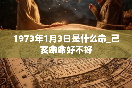 1973年1月3日是什么命_己亥命命好不好