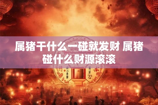 属猪干什么一碰就发财 属猪碰什么财源滚滚