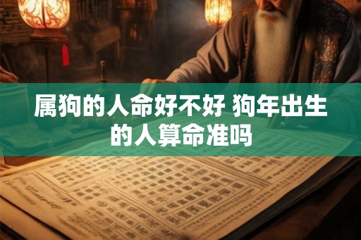 属狗的人命好不好 狗年出生的人算命准吗 属狗的人命好不好 狗年出生的人算命准吗