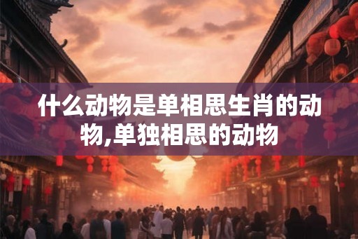 什么动物是单相思生肖的动物,单独相思的动物 什么动物是单相思生肖的动物,单独相思的动物