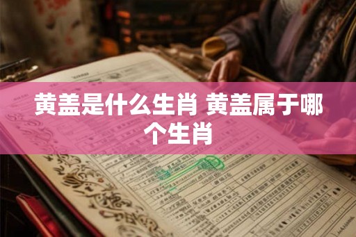 黄盖是什么生肖 黄盖属于哪个生肖