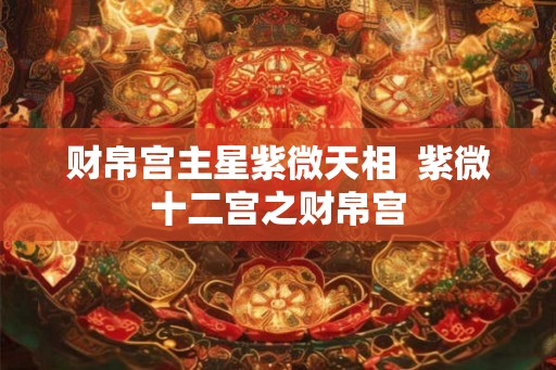财帛宫主星紫微天相  紫微十二宫之财帛宫