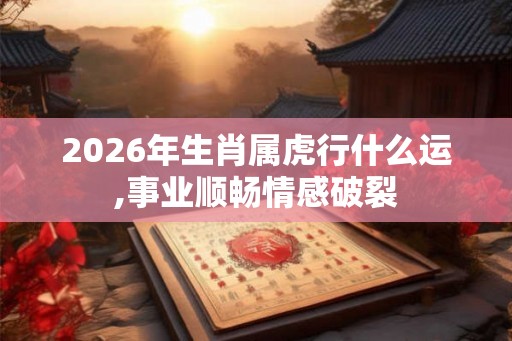 2026年生肖属虎行什么运,事业顺畅情感破裂 2026年生肖属虎行什么运,事业顺畅情感破裂