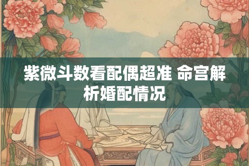 紫微斗数看配偶超准 命宫解析婚配情况