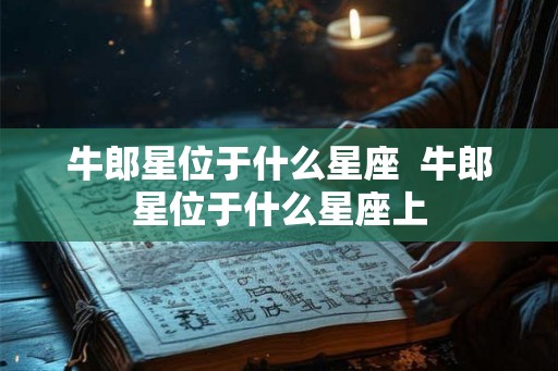 牛郎星位于什么星座  牛郎星位于什么星座上