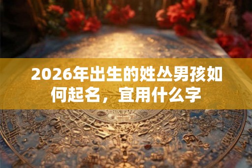 2026年出生的姓丛男孩如何起名,宜用什么字 2026年出生的姓丛男孩如何起名,宜用什么字