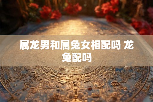 属龙男和属兔女相配吗 龙兔配吗 属龙男和属兔女相配吗 龙兔配吗
