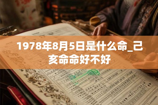 1978年8月5日是什么命_己亥命命好不好