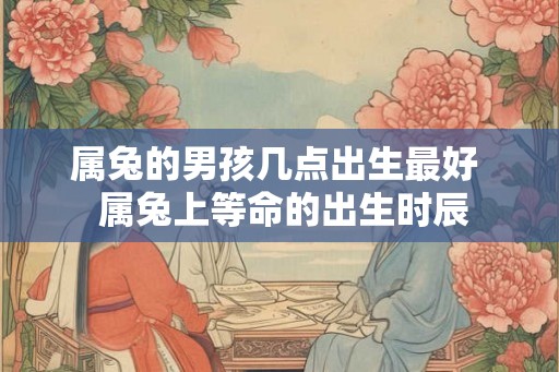 属兔的男孩几点出生最好  属兔上等命的出生时辰