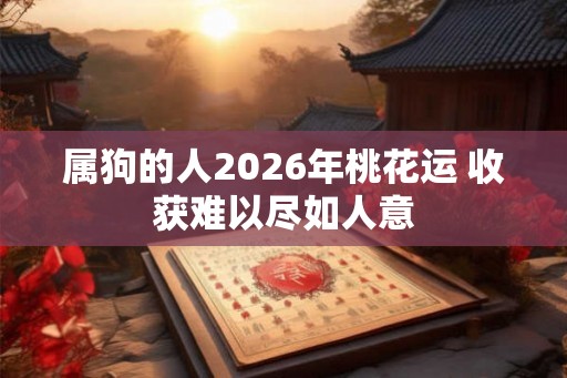 属狗的人2026年桃花运 收获难以尽如人意