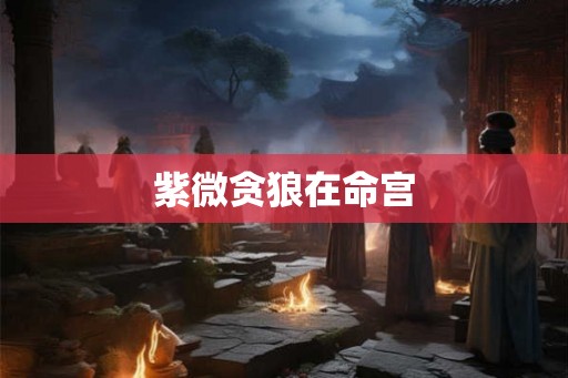 紫微贪狼在命宫