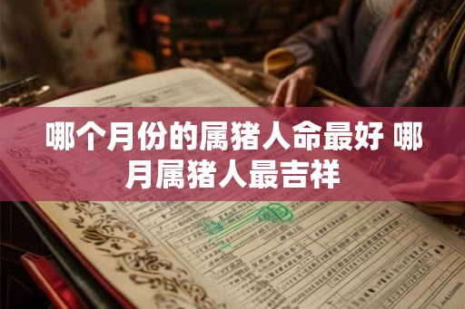 哪个月份的属猪人命最好 哪月属猪人最吉祥