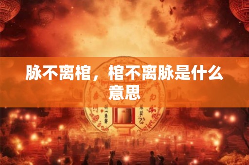 脉不离棺，棺不离脉是什么意思