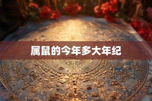 属鼠的今年多大年纪