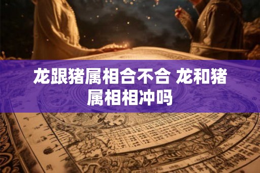 龙跟猪属相合不合 龙和猪属相相冲吗
