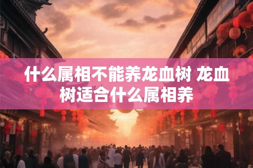 什么属相不能养龙血树 龙血树适合什么属相养