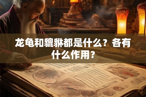 龙龟和貔貅都是什么？各有什么作用？