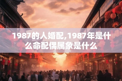 1987的人婚配,1987年是什么命配偶属象是什么