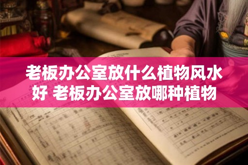 老板办公室放什么植物风水好 老板办公室放哪种植物好 老板办公室放什么植物风水好 老板办公室放哪种植物好