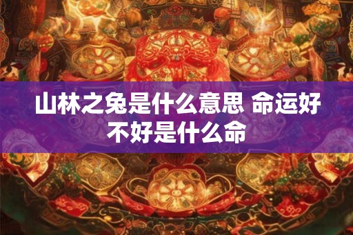 山林之兔是什么意思 命运好不好是什么命 山林之兔是什么意思 命运好不好是什么命