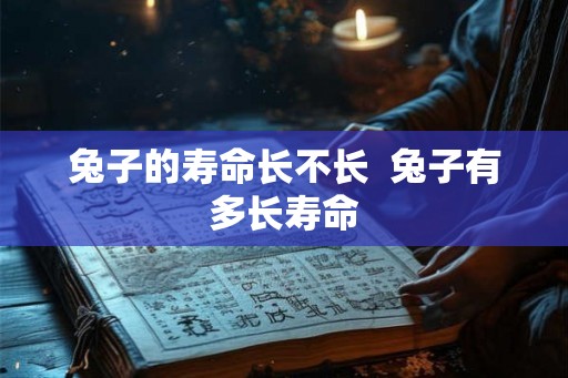 兔子的寿命长不长 兔子有多长寿命 兔子的寿命长不长 兔子有多长寿命