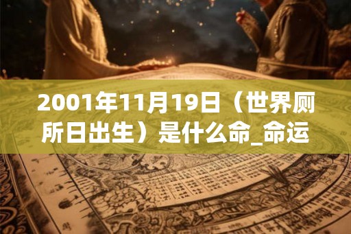 2001年11月19日（世界厕所日出生）是什么命_命运如何