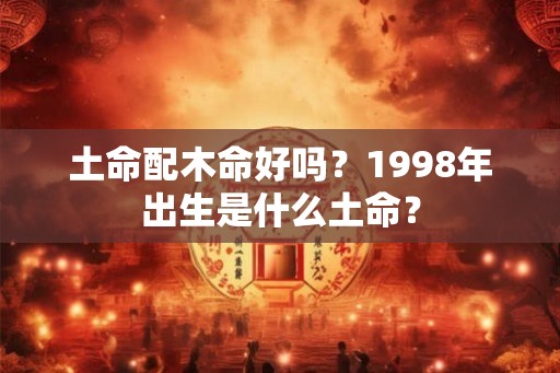土命配木命好吗？1998年出生是什么土命？