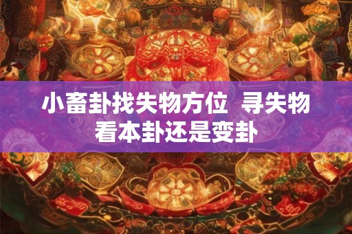 小畜卦找失物方位  寻失物看本卦还是变卦
