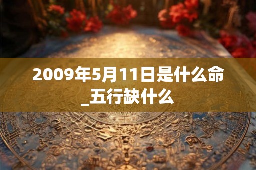 2009年5月11日是什么命_五行缺什么
