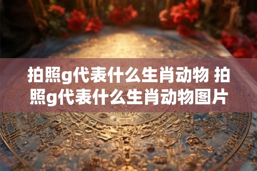 拍照g代表什么生肖动物 拍照g代表什么生肖动物图片