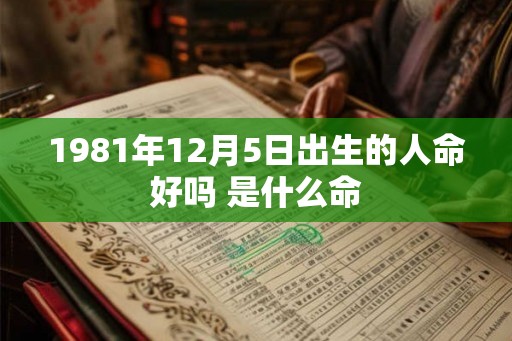 1981年12月5日出生的人命好吗 是什么命