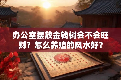 办公室摆放金钱树会不会旺财?怎么养殖的风水好? 办公室摆放金钱树会不会旺财?怎么养殖的风水好?