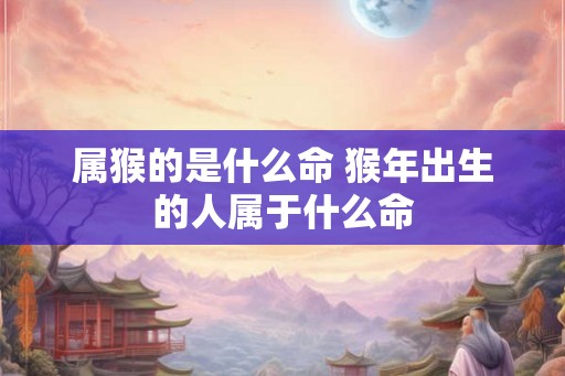 属猴的是什么命 猴年出生的人属于什么命