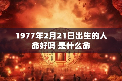 1977年2月21日出生的人命好吗 是什么命