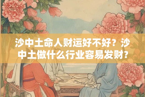沙中土命人财运好不好？沙中土做什么行业容易发财？
