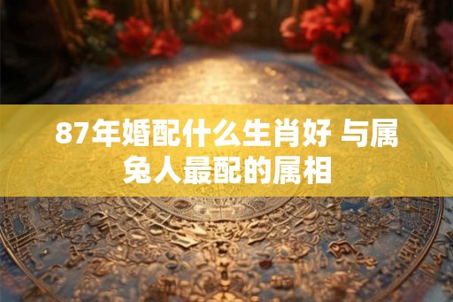 87年婚配什么生肖好 与属兔人最配的属相