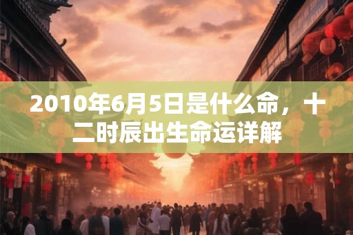 2010年6月5日是什么命，十二时辰出生命运详解