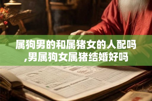 属狗男的和属猪女的人配吗,男属狗女属猪结婚好吗 属狗男的和属猪女的人配吗,男属狗女属猪结婚好吗
