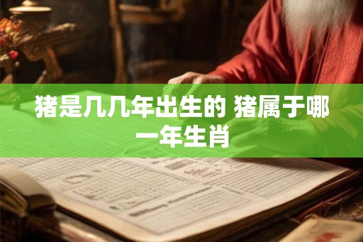 猪是几几年出生的 猪属于哪一年生肖