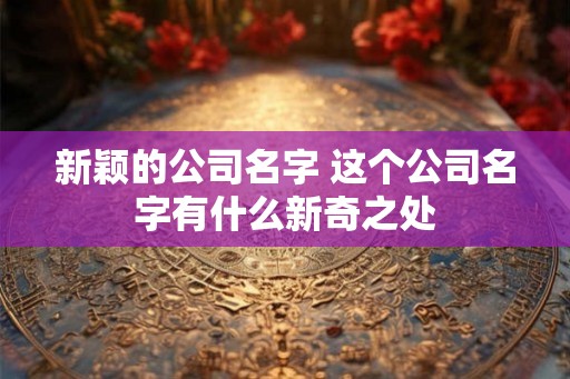 新颖的公司名字 这个公司名字有什么新奇之处