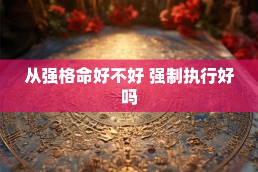 从强格命好不好 强制执行好吗