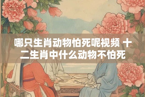 哪只生肖动物怕死呢视频 十二生肖中什么动物不怕死