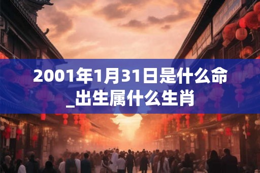 2001年1月31日是什么命_出生属什么生肖